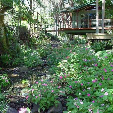 Treetops Montville Zewnętrze zdjęcie