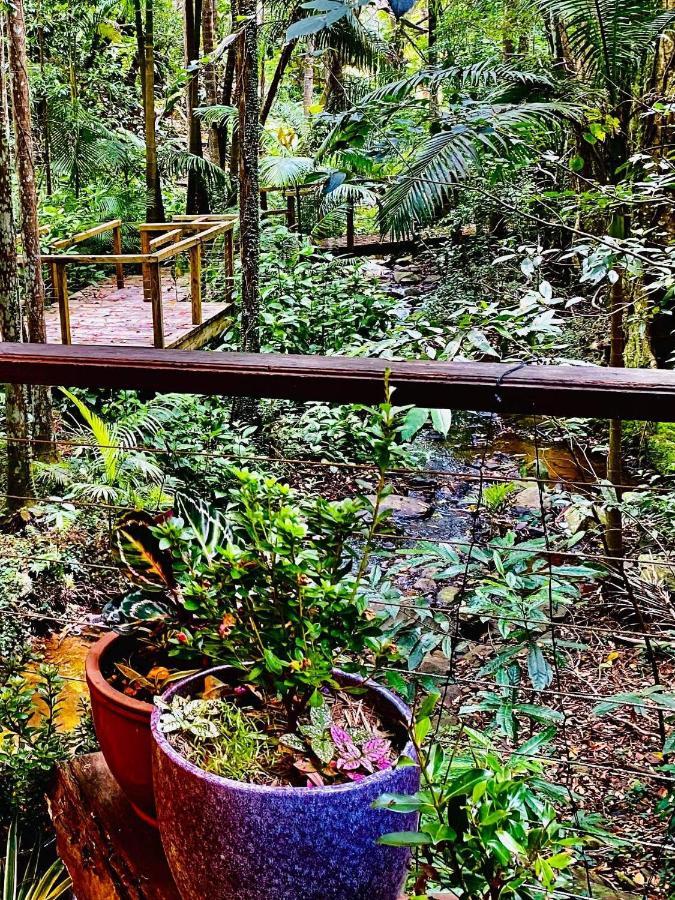 Treetops Montville Zewnętrze zdjęcie