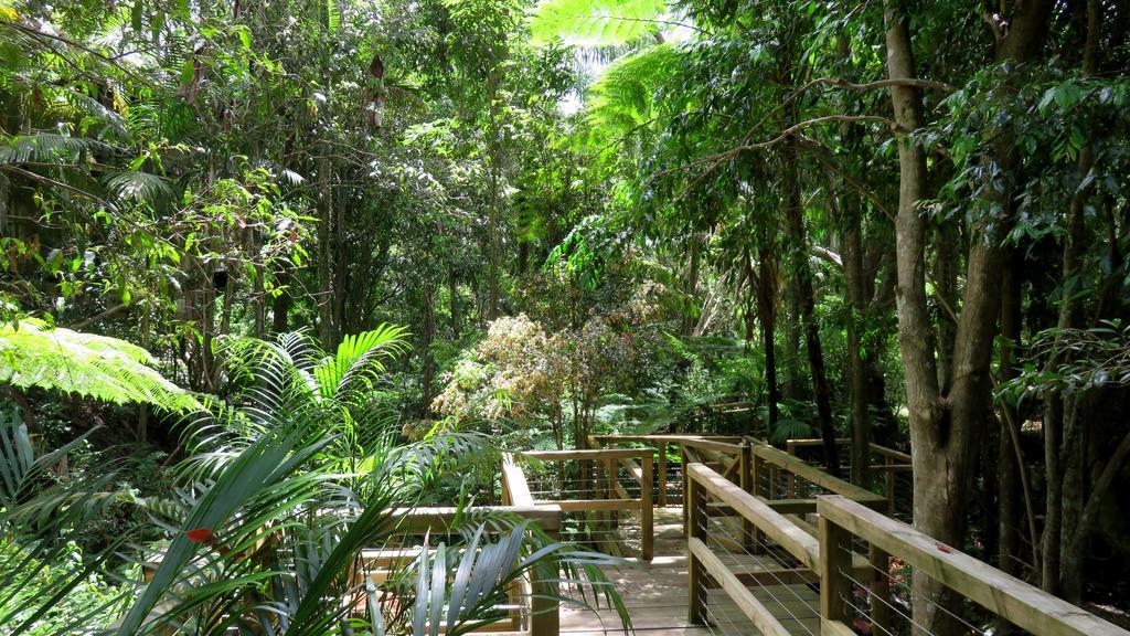 Treetops Montville Zewnętrze zdjęcie