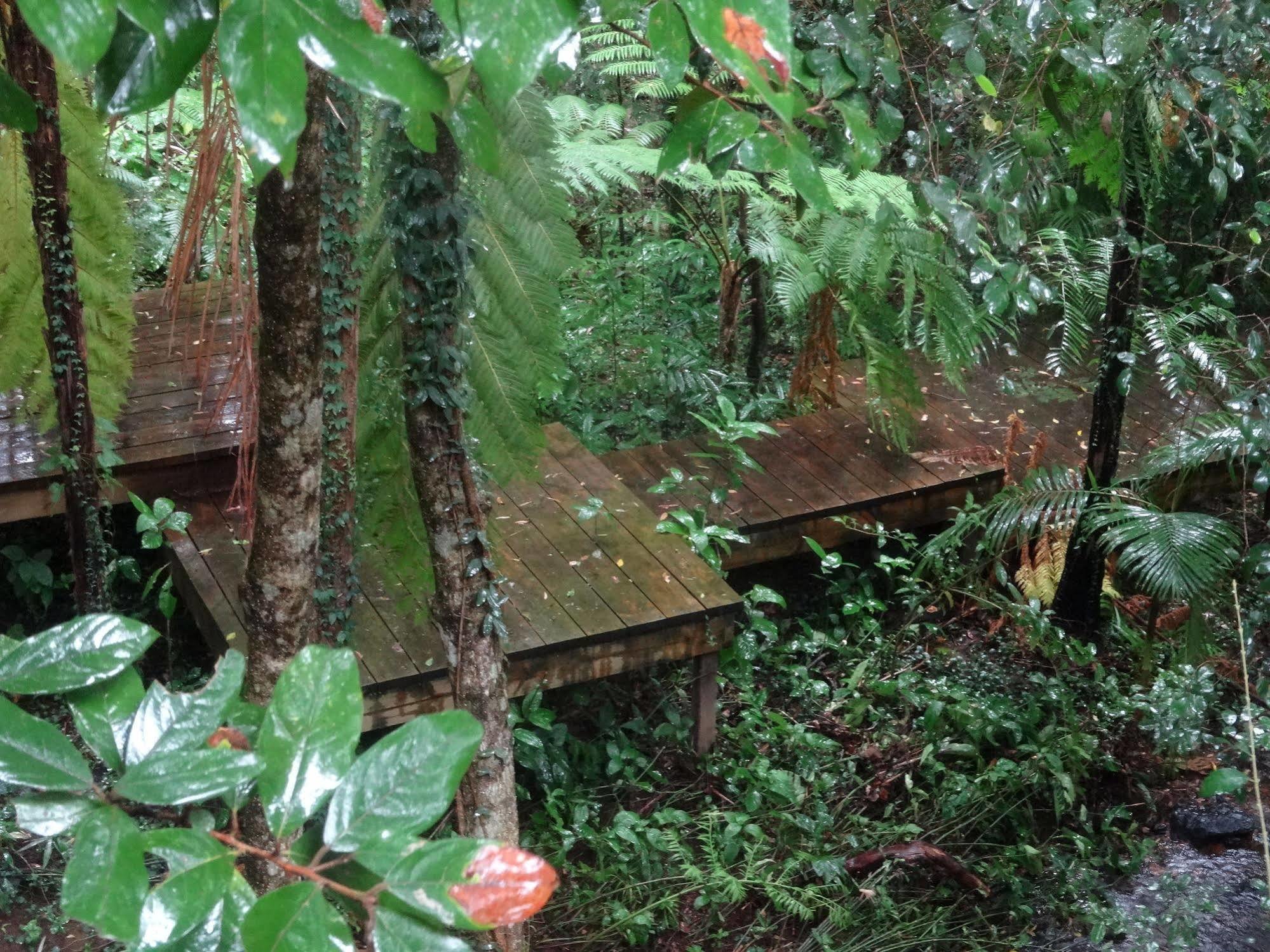 Treetops Montville Zewnętrze zdjęcie