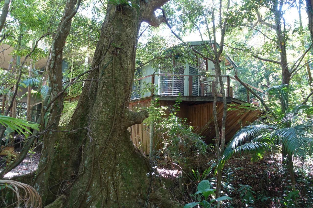 Treetops Montville Zewnętrze zdjęcie